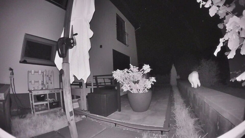 Die Bildqualität kann sich auch in der Nacht sehen lassen. (Bildquelle: Mirco KämpferGameStar Tech)