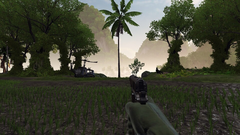 Diese schmale Palme in der Mitte des Bildes hat einen Spieler von Rising Storm 2: Vietnam massiv gestört. Die Entwickler konnten es nachvollziehen.