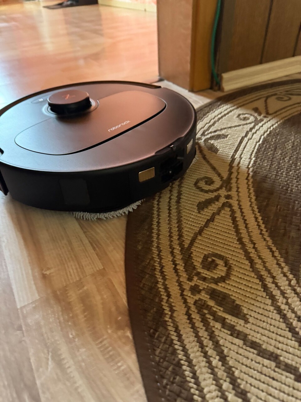 Aktuelle Modelle von Saug- und Wischrobotern heben sogar ihre Wischmopps an, wenn sie über Teppich fahren.