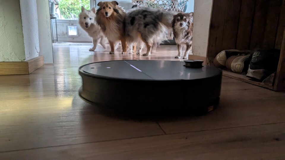 Der Roborock Saros 10(R) ist der aktuell wohl beste Saugroboter gegen Tierhaare - unsere vier Hunde können das bestätigen. Selbst im Fellwechsel verheddern sich keine Haare.