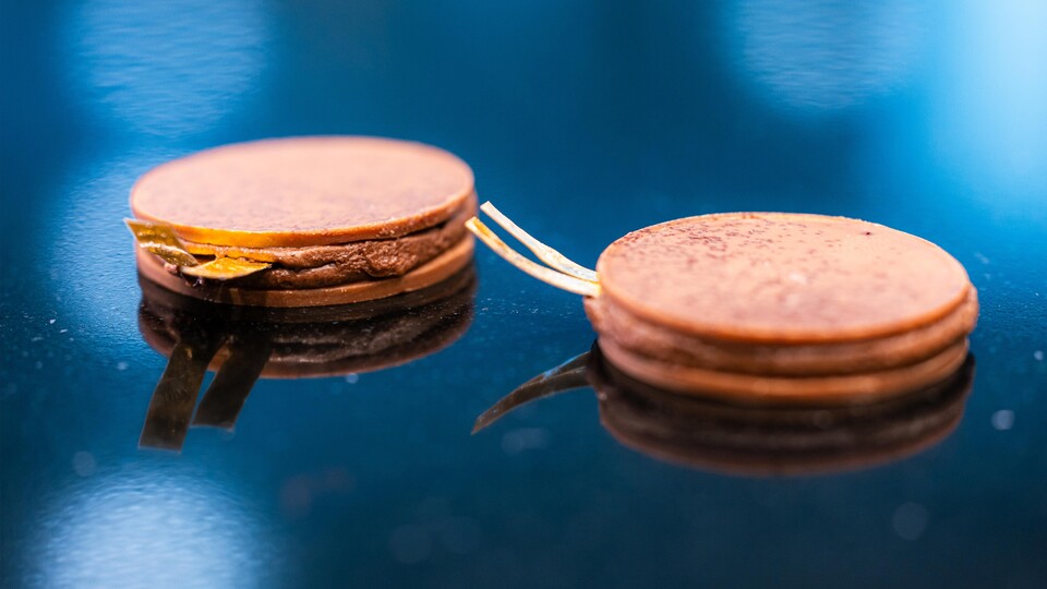 This is what the edible batteries look like. (Image source: EPFL)