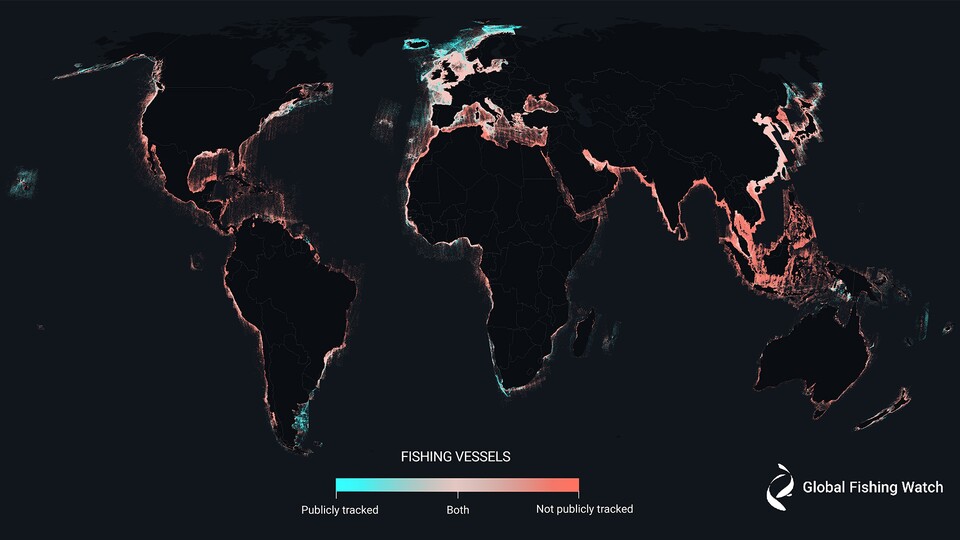 Rot bedeutet öffentlich nicht nachverfolgbare Fischerei - nur blaue Punkte sind offiziell registrierte Fischerboote. (Quelle: Global Fishing Watch)