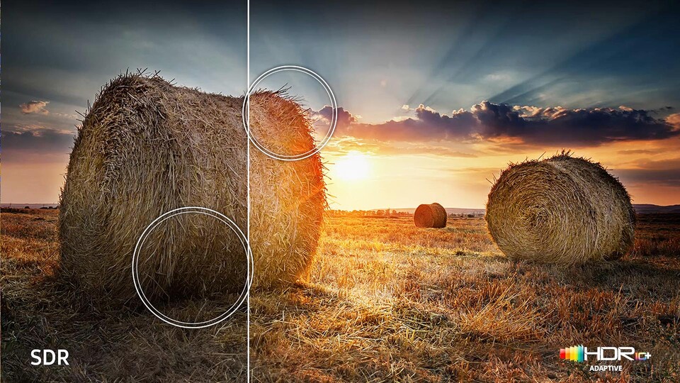 Quantum HDR hört sich nicht nur cool an, es sieht auch spektakulär gut aus! Jedes noch so gute Bild kann dadurch NOCH besser werden.