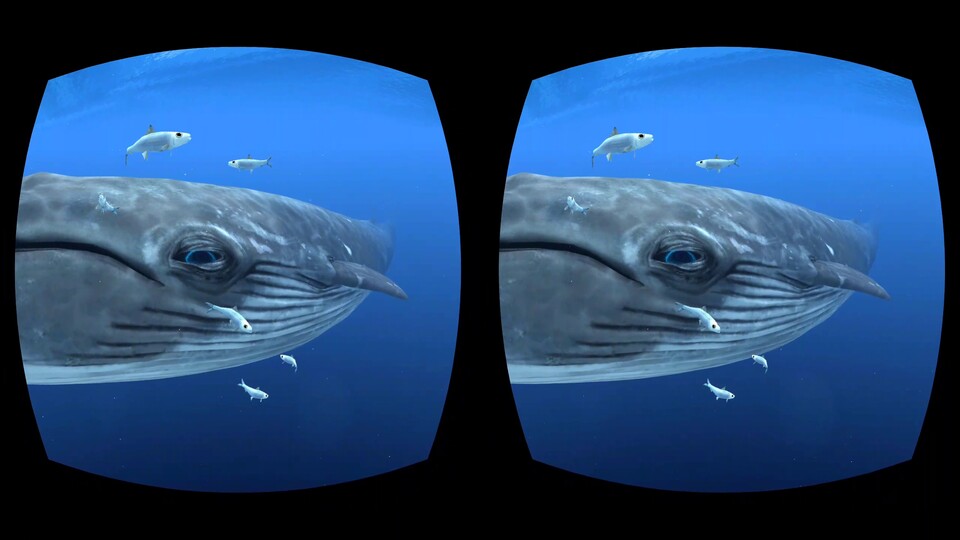 Mit der Gear VR lässt es sich auch ins Meer abtauchen – zumindest virtuell. Hier können wir den Fischen und Walen beim Schwimmen zuschauen, aber nicht mit ihnen interagieren.