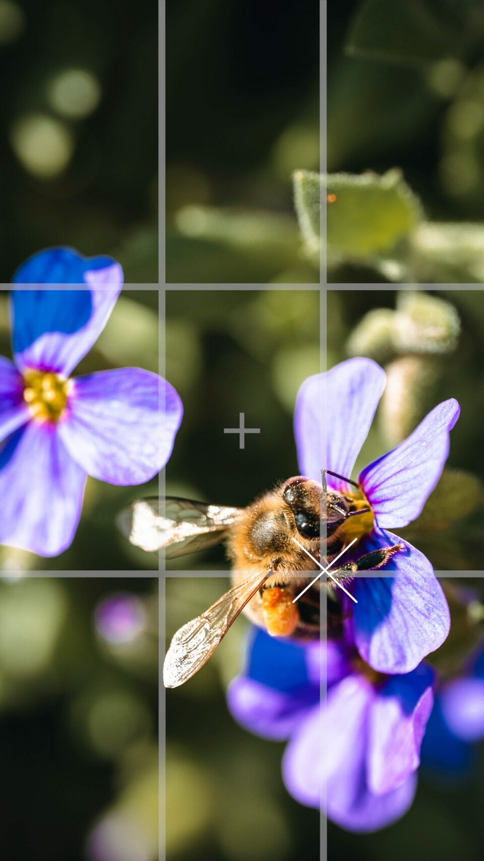 Das Foto ist zwar nicht mit einem Samsung-Smartphone entstanden, aber es verdeutlicht die Regel. (Bild: Patrick GameStar Tech)
