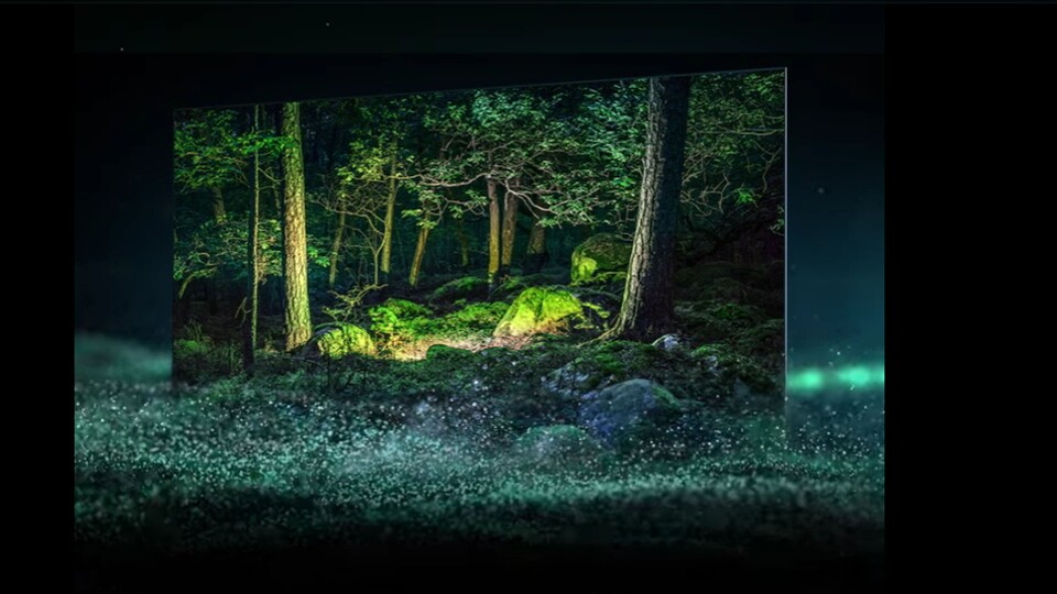 Die Bildqualität von OLED-TVs ist einfach unvergleichlich - und der Samsung S95C mit 55 Zoll ist unter diesen OLEDs noch besser!