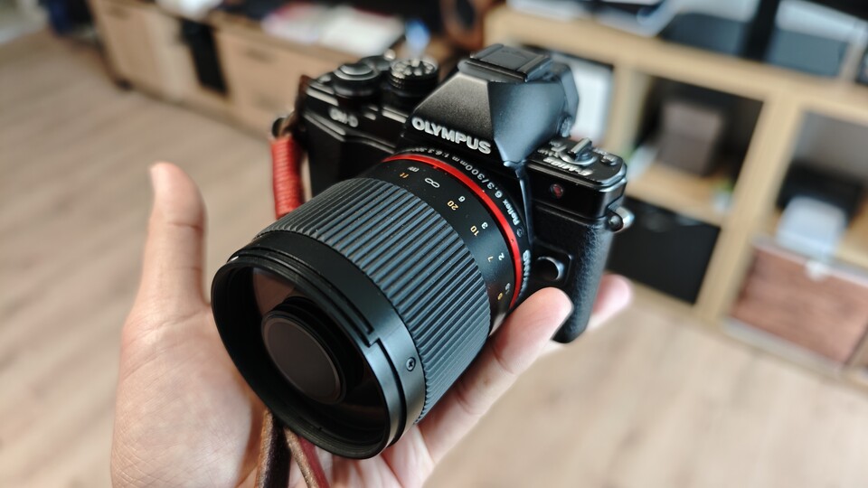 An meiner Olympus OM-D E-M10 Mark II ist ein kompaktes 300mm-Objektiv (das Setup entspricht etwa 24x bei einem Handy) angebracht. Damit fotografiere ich Vögel und Tiere aus sicherer Entfernug für mich und das Tier.