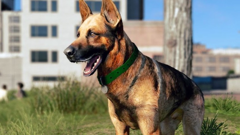 Einem Schäferhund wie diesem hier aus Watch Dogs 2 werdet ihr in Legion nicht begegnen.