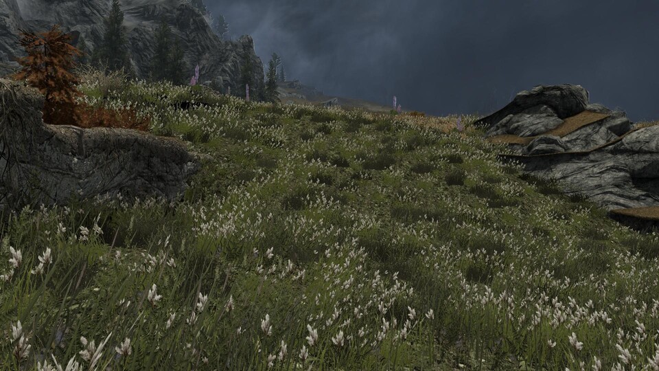 best skyrim grass mod