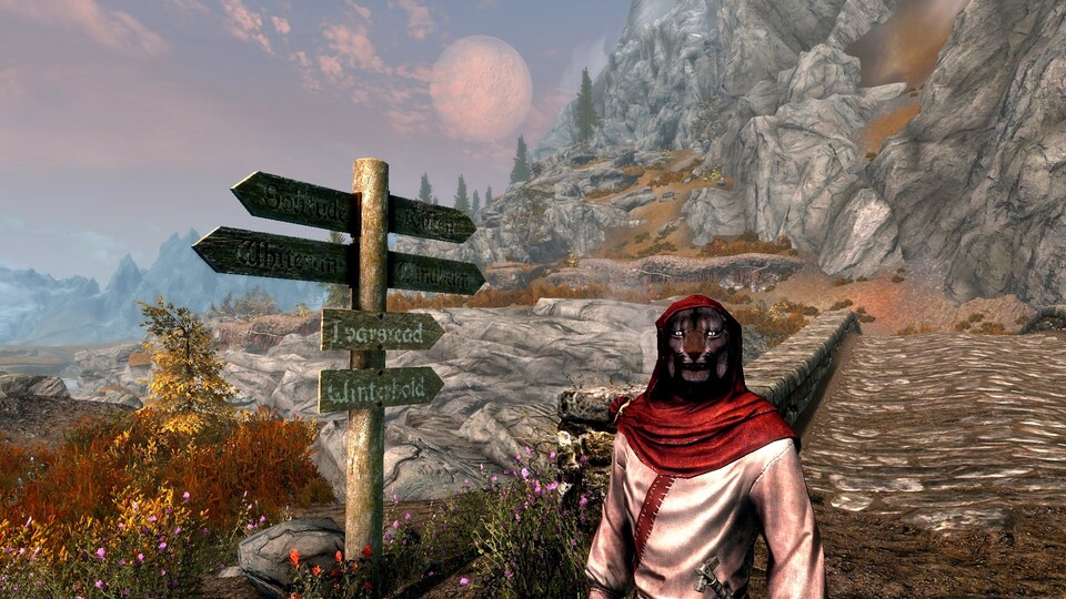 Skyrim Mod: Travelers of Skyrim