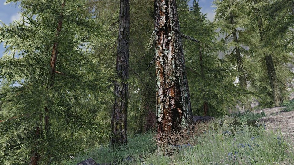 Per Mod kommt der authentische Look von finnischen Wäldern direkt nach Himmelsrand.