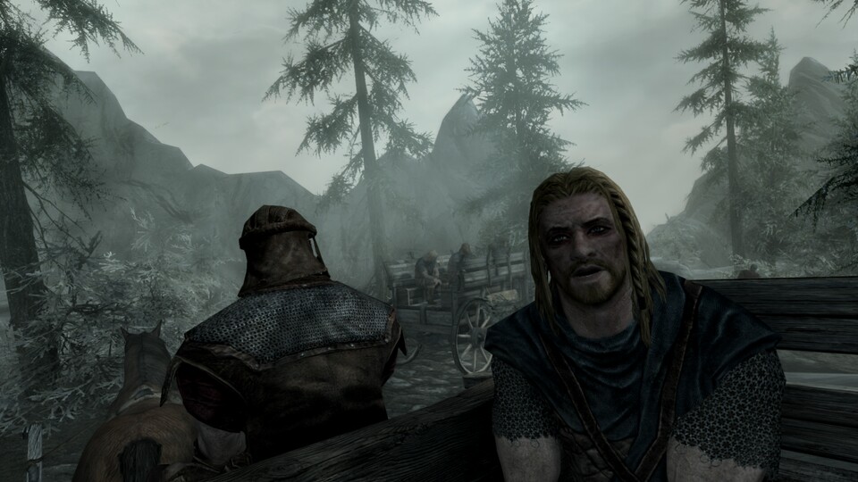 Am Anfang der Story von Skyrim wird der Spieler als Gefangener einer zweiten Strafexpedition in das Land Skyrim gebracht, wobei die erste Strafexpedition von den Drachenkönigen verschlungen wurde.