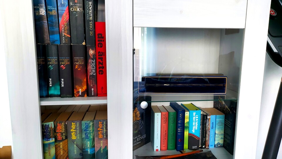 Das heimische Bücherregal konnte ich nicht ins Krankenhaus mitschleppen - und Klassiker wie Die Orks sind auch noch nichts für zarte Kinderohren!