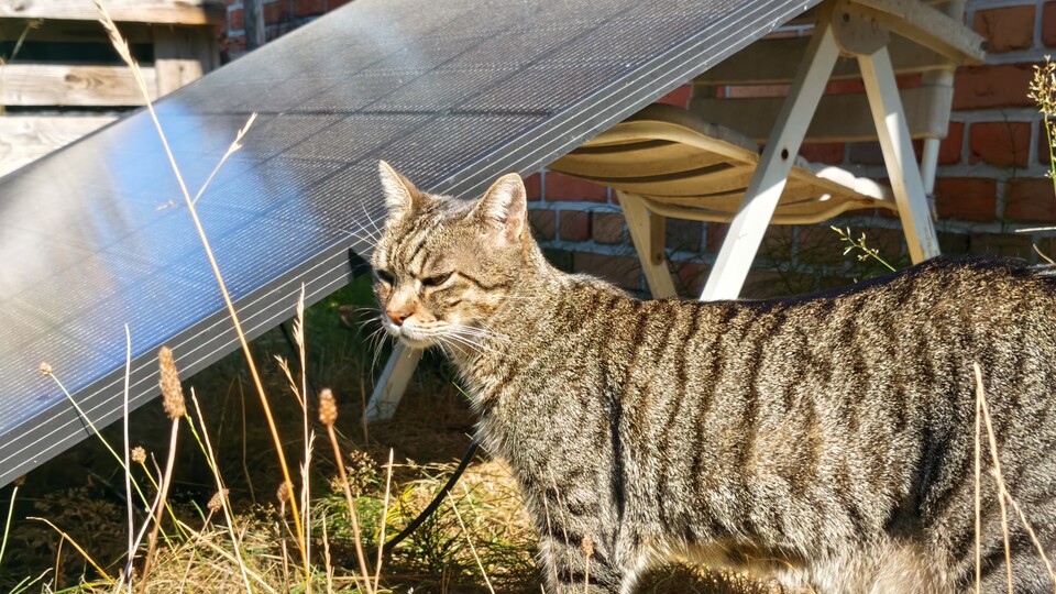 Die Katze ist leider nicht im Lieferumfang enthalten. Die kreative Aufständerung des Solarpanels auch nicht. Ihr macht das bitte professioneller!