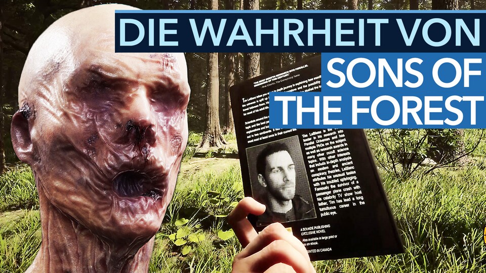 Sons of the Forest - Die Story erklärt