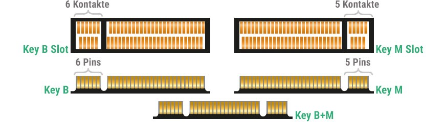 Das sind die gebräuchlichen Keys für SSDs. (Bildquelle: Delock)