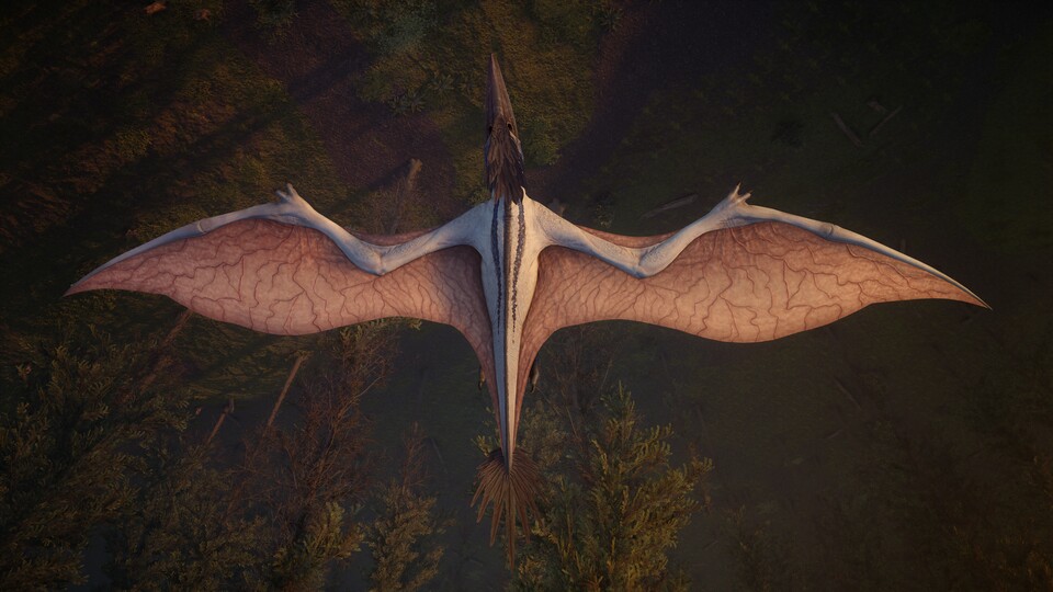 Der Marok ist eine der ersten Kreaturen, weitere sollen folgen.