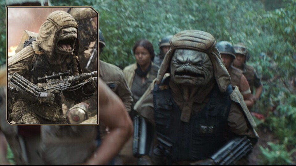 Seine Freunde nennen ihn Pao. Bildquelle: DisneyLucasfilm
