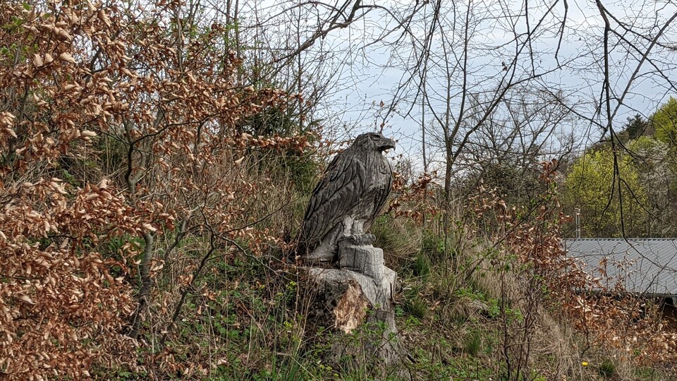 Diesem hölzernen Gesellen begegnete ich ebenfalls bei meiner Wanderung. Soweit ich weiß, ist der Adler vom selben Künstler in den Baumstumpf geschnitzt worden. (Bildquelle: Nele WobkerGameStar Tech)