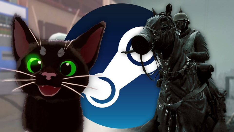 Süße Katzen oder düsterer Weltkrieg? Die Wahl liegt bei euch.