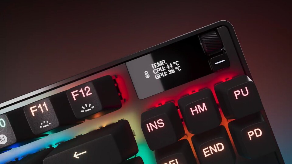 Das kleine aber feine OLED-Display hilft euch dabei, in euren Spielen den Überblick zu behalten.