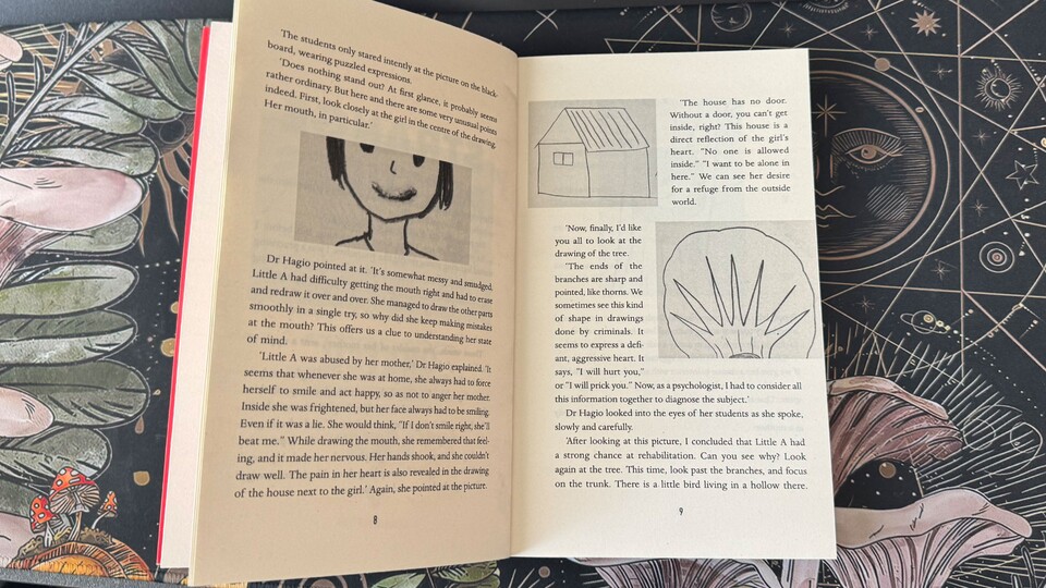 In Strange Pictures schaue ich mir die Bilder ganz genau an. (BildquelleHerausgeber: Pushkin Press)