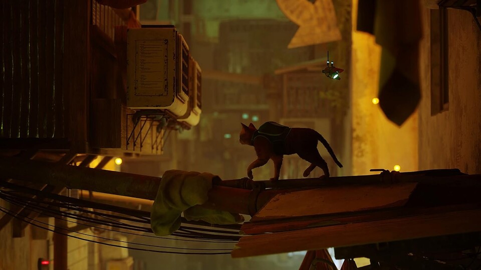 In Stray müsst ihr die unterschiedlichsten Gegner und Hindernisse überwinden!