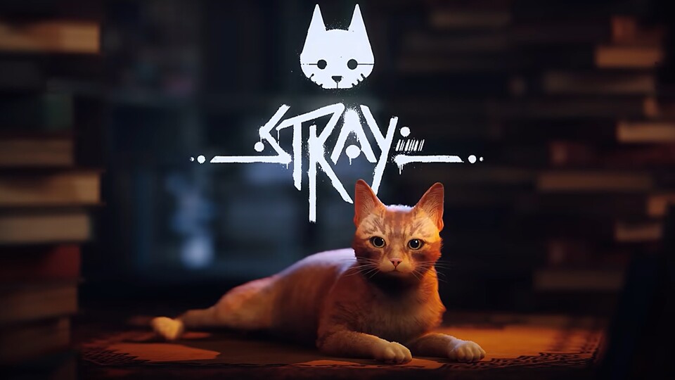 Man merkt, wie viel Liebe in dieses Spiel gesteckt wurde und die Katzen-Animationen wirken super realistisch dadurch!