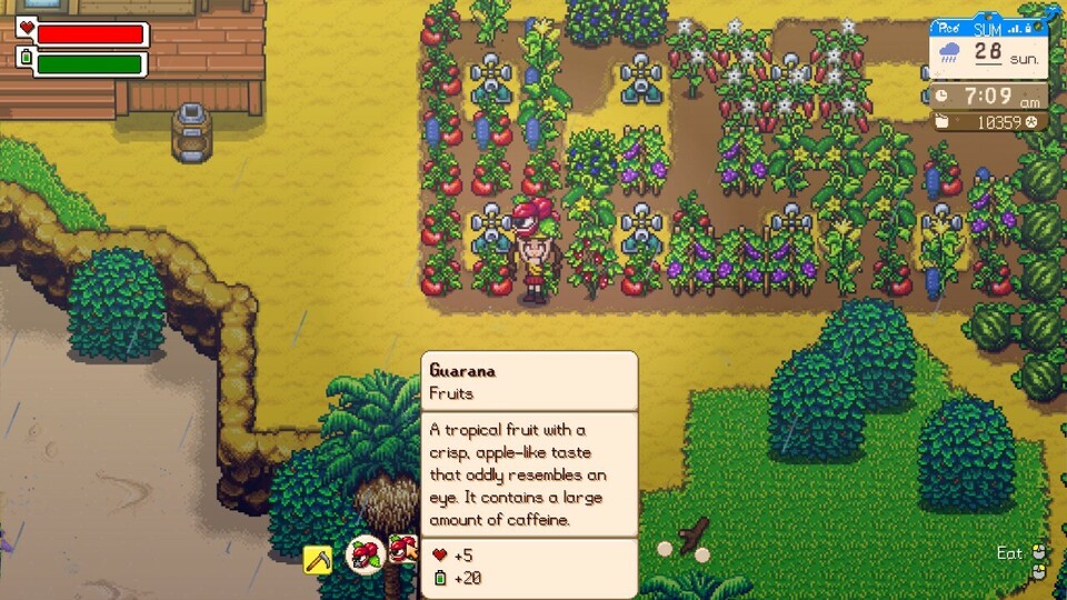 Felder bestellen und Früchte ernten: Stardew Valley ist die offensichtliche Vorlage für Sunkissed City.