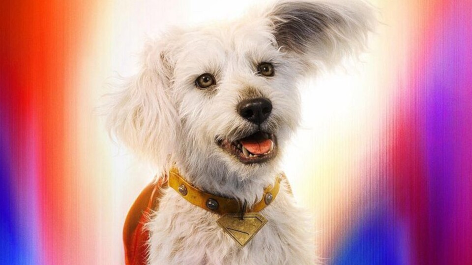 Ein Zitat von Regisseur Craig Gillespie, das Krypto sehr gut beschreibt: »Ich glaube nicht, dass er weiß, was gut ist. Ich glaube, er lebt nur in seiner eigenen Gedankenwelt.« Bildquelle: DCWarner Bros.