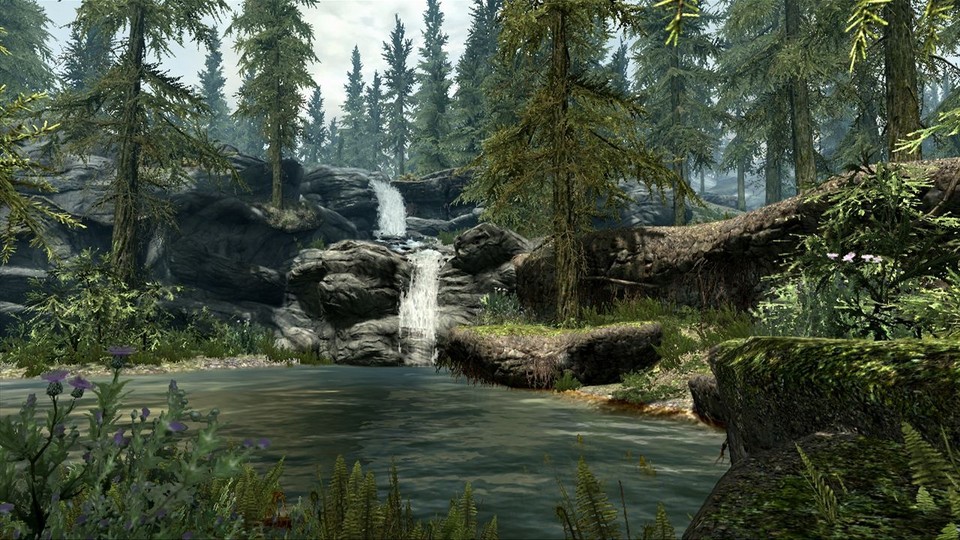 Hin und wieder geht es auch malerisch in den schroffen Landschaften von The Elder Scrolls 5: Skyrim zu.