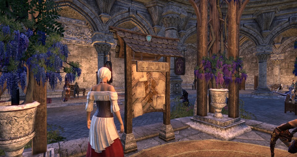 The Elder Scrolls Online - Gameplay-Video zu den Gruppeninhalten