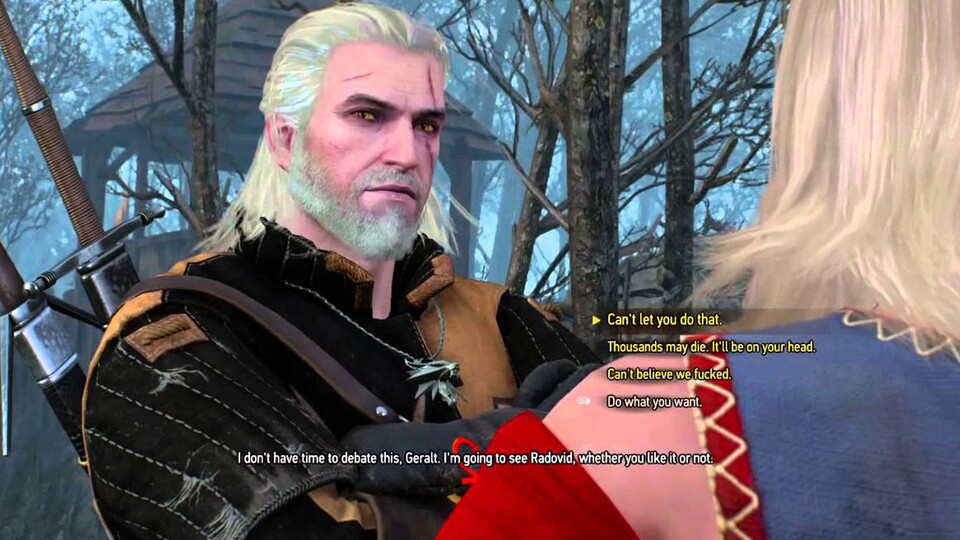Beim Schreiben der Dialoge für The Witcher 3 mussten die Autoren vieles beachten - darunter auch die Konsequenzen für jede Entscheidung.