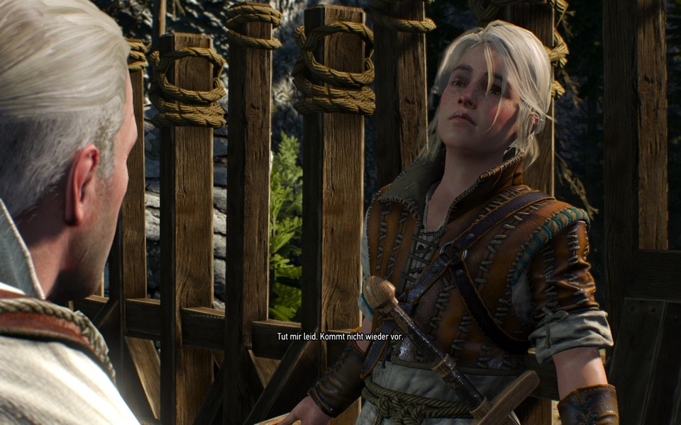 Die Beziehung zwischen Geralt und Ciri zieht sich in The Witcher 3 durch das gesamte Spiel. Dennoch bleibt die Rahmenhandlung um die Suche nach Geralts Ziehtochter zuweilen auf der Strecke, wenn der Spieler derweil lieber Nebenquests erledigt..