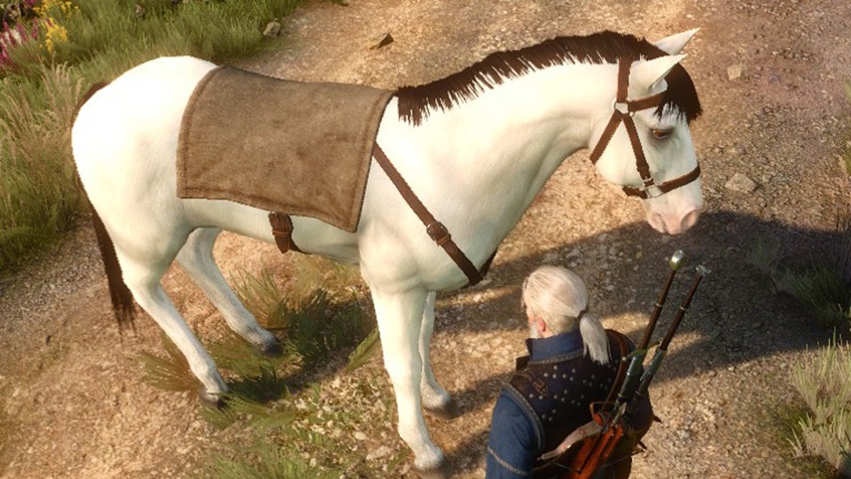 Mit der Mod »Fera's Roach Variants« können Sie die Farbe des Pferdes Roach in The Witcher 3: Wild Hunt ändern.