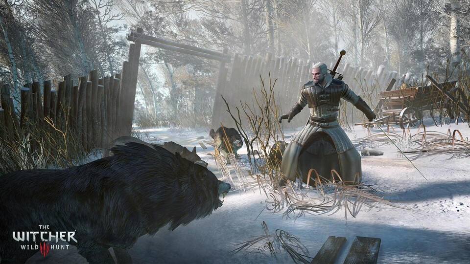 The Witcher 3: Wild Hunt wird angeblich unter fragwürdigen Arbeitsbedingungen entwickelt und sei sowieso nur eine PR-Blase. Das erklärt zumindest ein anonymer Insider, der Entwickler CD Projekt Red dementiert.