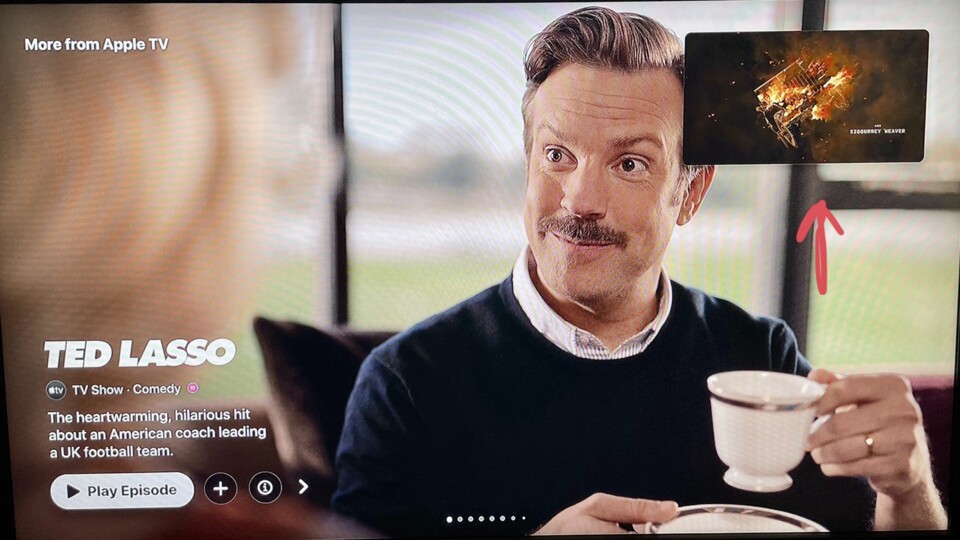 Ihr habt gerade das anspruchsvolle The Fountain auf Apple TV beendet? Hier ist Ted Lasso mit seinem Grinsegesicht, um die Stimmung zu versauen. (Bildquelle: TheGhostofLizShueReddit)