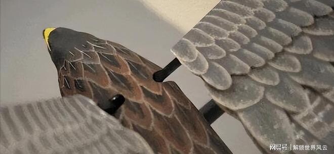 Der Rekordhalter: Das Adler-Modell. (Bildquelle: 163.com)