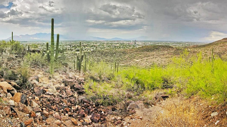 Der Tumamoc Hill ist eine beliebte Wanderstrecke in Tucson, Arizona. Hier steht die erste Millennium-Kamera. (Bild: tucsontopia)