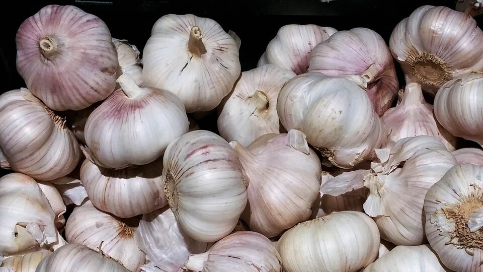 Beim Erhitzen von Knoblauch entstehen Stoffe, die die Zusammenlagerung von Blutplättchen verhindern und so gegen Thrombosen in den Blutgefäßen wirken.