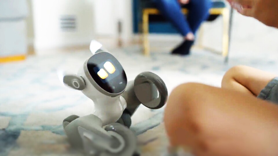 Keyi shows what your Petbot Loona has. You will be surprised!