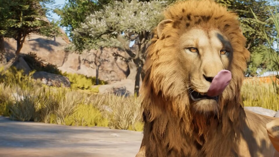 Planet Zoo 2 zeigt weitere tierische Fan-Lieblinge im Trailer - darunter den ersten Hai