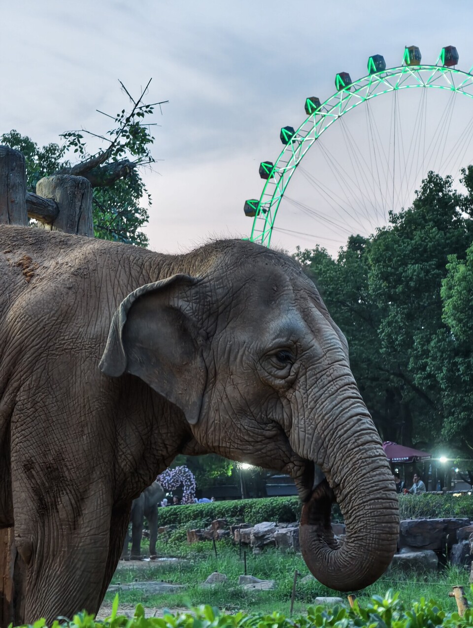Aufgenommen mit dem Vivo X500 Pro Max. (Bildquelle: Xataka)
