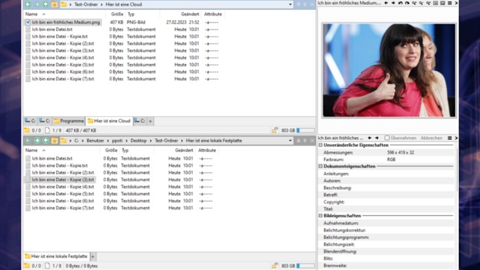 Mehrere Vorteile von Directory Opus auf einem Blick: die Zwei-Fenster-Ansicht, die Medien-Vorschau oben rechts, die Medien-Infos unten rechts. Alle Fenster lassen sich benutzerdefiniert anordnen.
