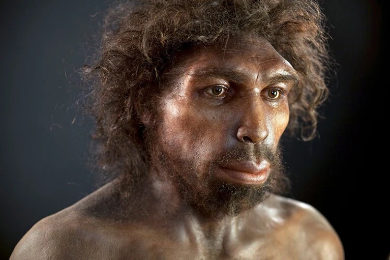 Es könnte sich sowohl um die Vorfahren des Homo heidelbergensis als auch eine Vorfahrenart unserer eigenen Art handeln. (Bild: Nature)