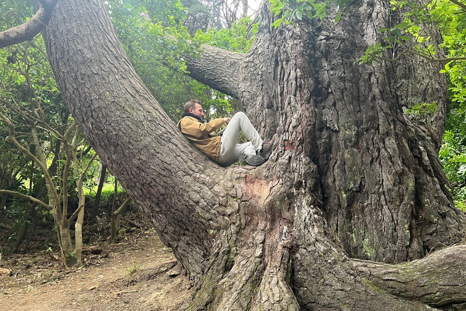 Unser Autor Jesko ohne Pfeife auf demselben Baum - nur 25 Jahre später.