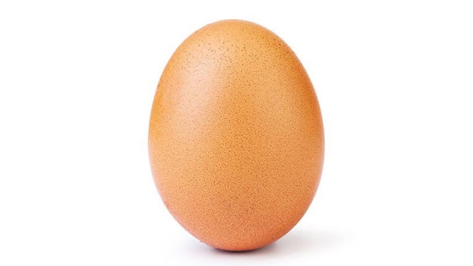 Dieses Ei sollte die Welt erobern und hat das auch in gerade einmal zehn Tagen geschafft.
