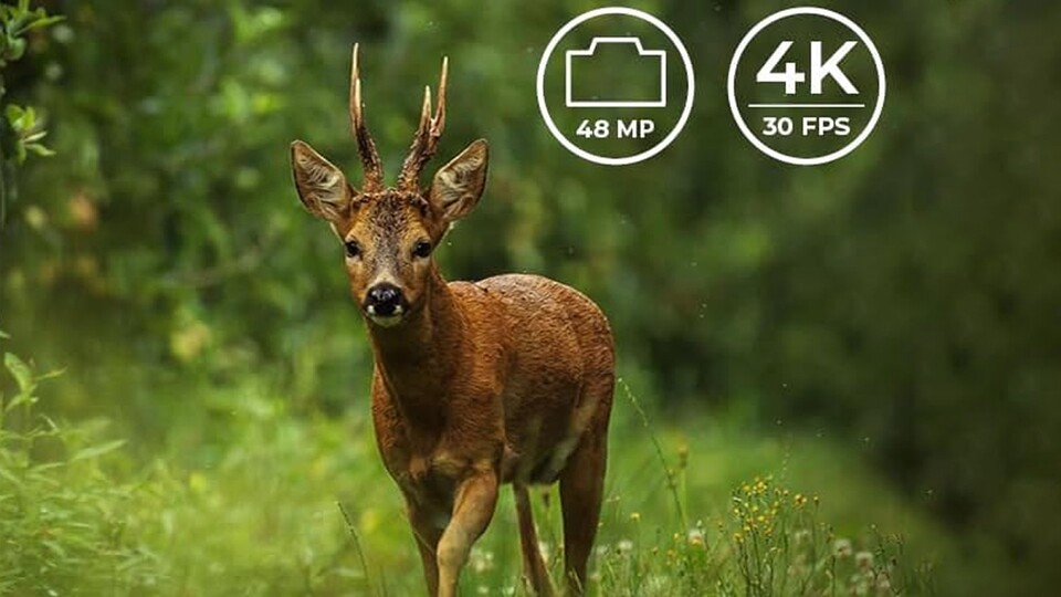 Nicht nur im eigenen Garten, sondern auch in freier Wildbahn lassen sich mit der Kamera tolle Aufnahmen machen.