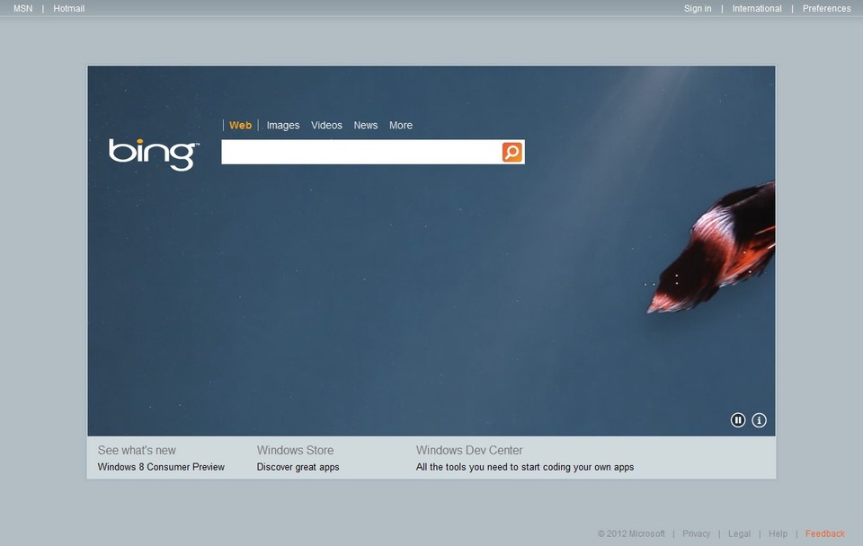 Bing wird in den USA langsam zu einem ernsthaften Konkurrenten von Google.