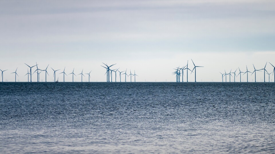 Die Nordsee soll nach dem Willen vieler Regierungen sowie der EU zu einem der Stromerzeugungs-Gebiete schlechthin werden. (Bild: Tom Bayer - adobe.stock.com)